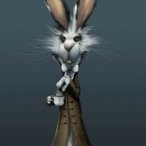 Meet your Posher, Dawn